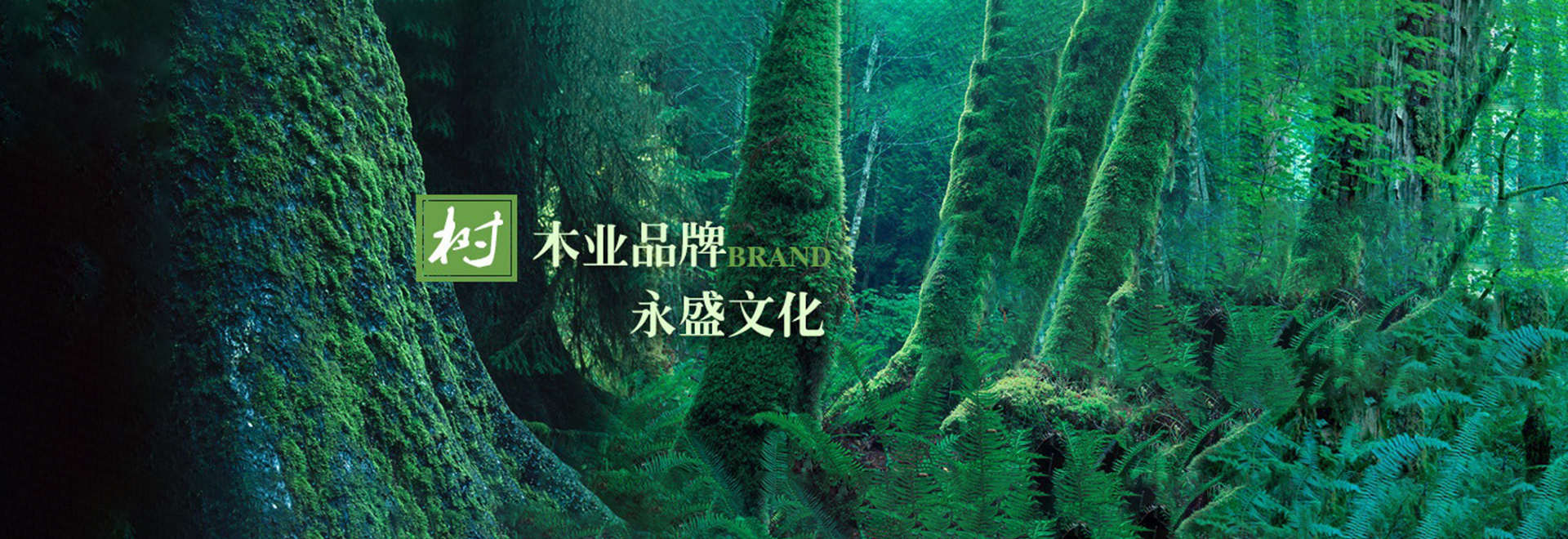 永盛木業(yè)