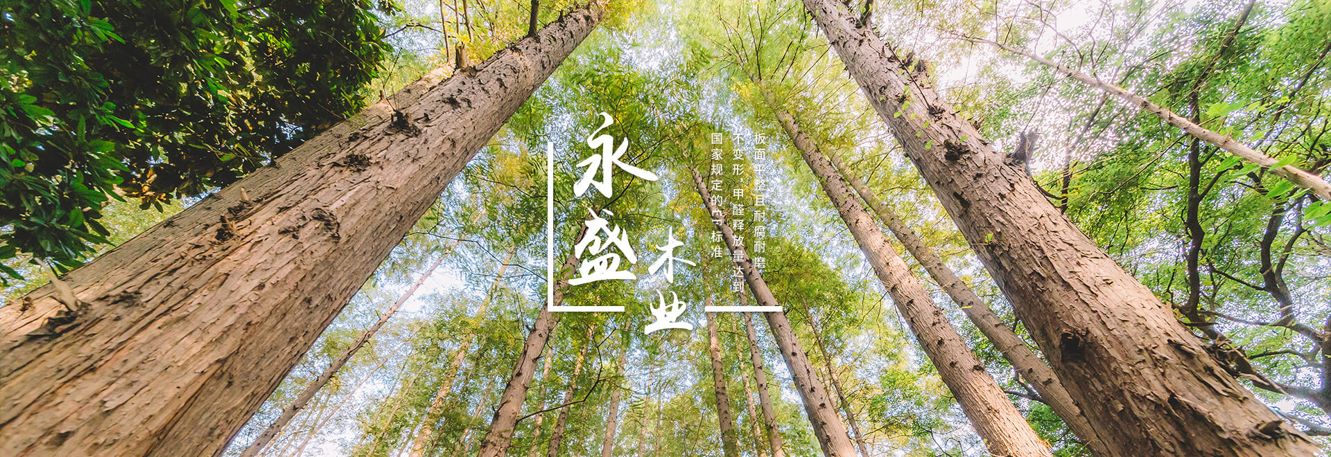 永盛木業(yè)